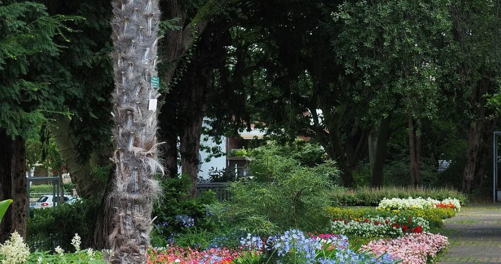Neuss Botanical Garden, Neuss, Germany, Germany